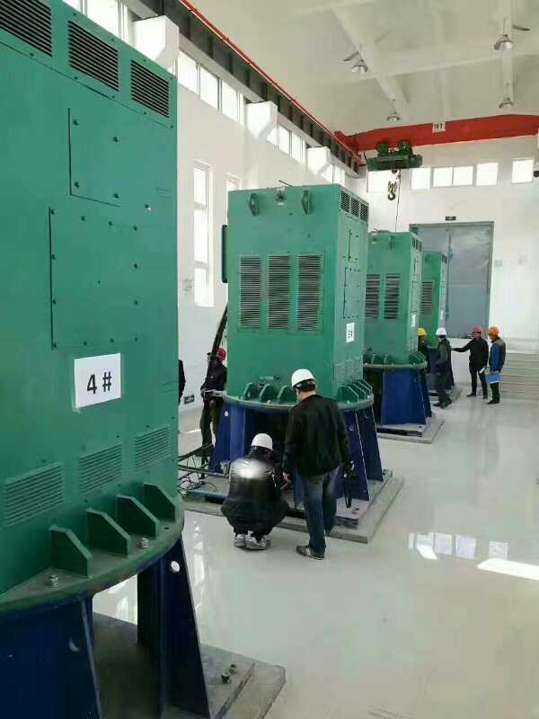 临泉某污水处理厂使用我厂的立式高压电机安装现场哪家好